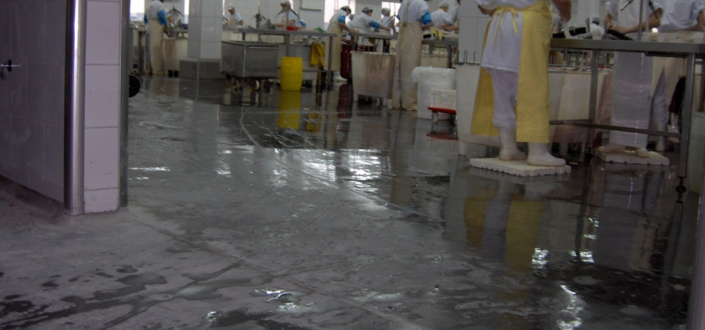 bcmq (7)